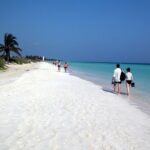 Jardines del Rey