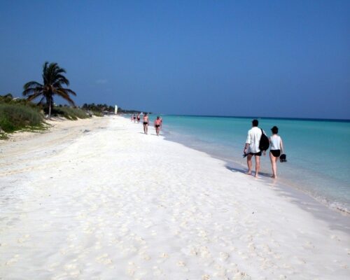 Jardines del Rey, una excelente opción que brinda la naturaleza