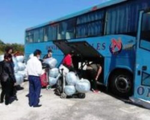 Protocolos por la COVID-19 para transportación en Ciego de Ávila