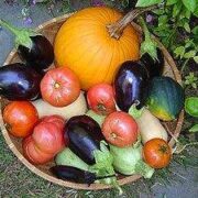 Bonanzas de la agroecología