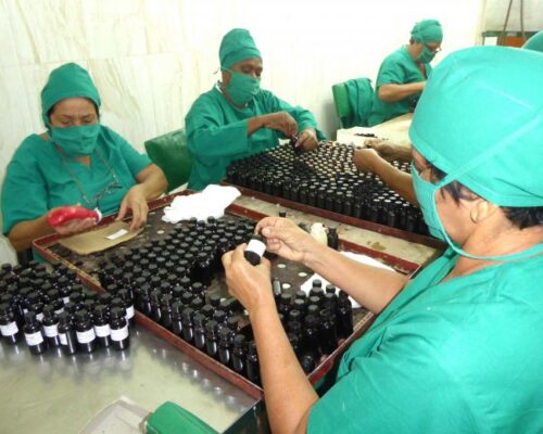 Medicina natural y tradicional en Ciego de Ávila
