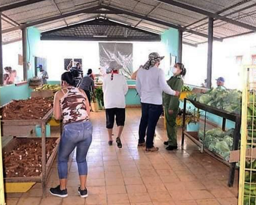 Abastecen productores de avanzada  a mercados de Morón