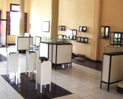 Conceden Premio Nacional de Restauración al Museo Caonabo