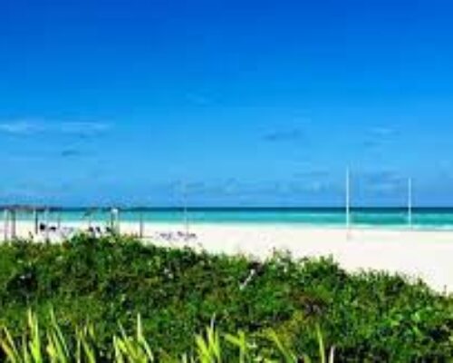 Recuperan dunas en Jardines del Rey