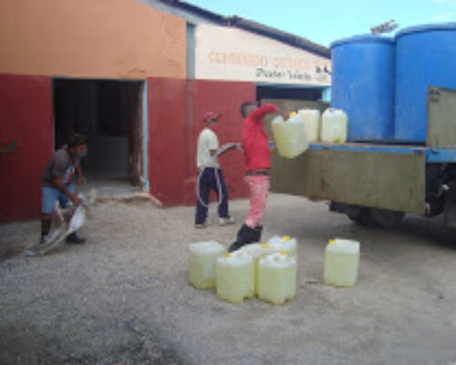 Incentiva producciones varias combate contra la Covid-19