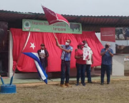 Recibe Pecuaria Turiguanó bandera de Vanguardia Nacional