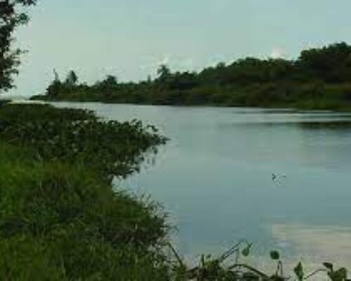 Reciben avileños etapa lluviosa con reservas en el acuífero