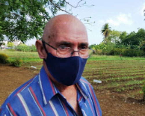 Repercusión de medidas en la agricultura moronense