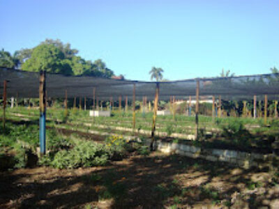 Agricultura Urbana, Suburbana y Familiar