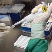 Proyectos de vacunas, medios de diagnóstico y medicamentos para combatir el dengue