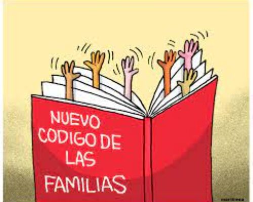 Ultiman detalles para referendo popular sobre Código de las Familias