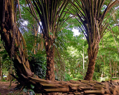 Parque Humedal Grande, un proyecto que atesora maravillas