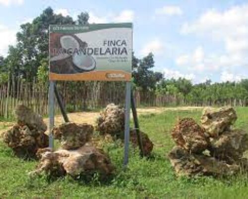 Afianzan interrelación en función del desarrollo agropecuario