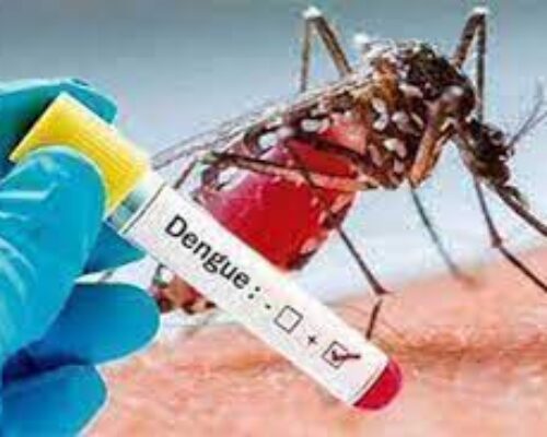 Prosiguen acciones para minimizar los casos de dengue