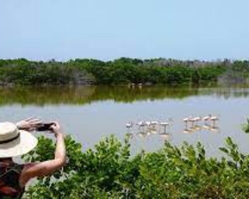 Destacan proyecto de Gestión Ambiental Integradora con enfoque ecosistémico
