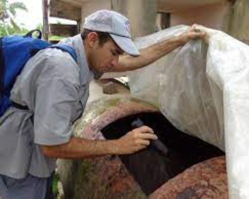 Refuerzan acciones para contrarrestar la propagación del dengue