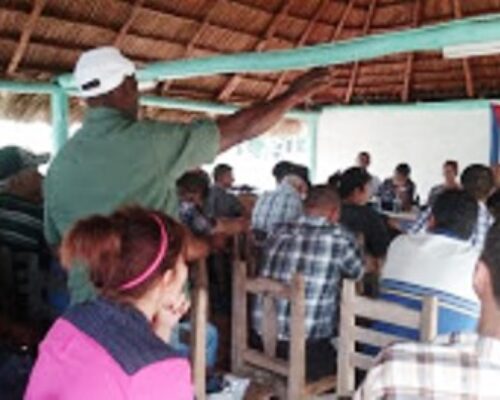 Multiplican quehacer campesinos moronenses