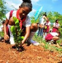 Priorizan la Educación Ambiental en Morón