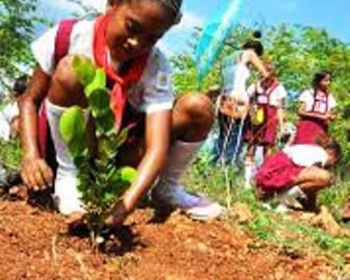 Priorizan Educación Ambiental en Morón