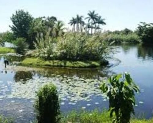 Reclaman mayor aceptación a los diagnósticos ambientales