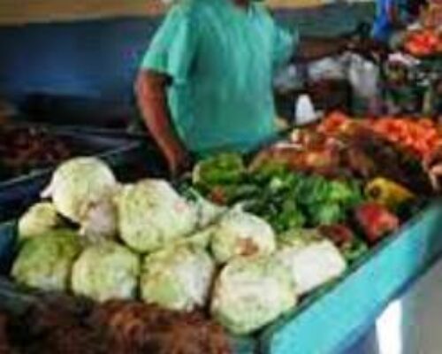 Optan por incentivar la comercialización de productos