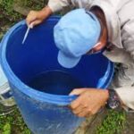 Pitched battle against Aedes aegypti