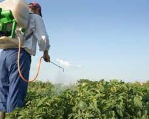 Impulsan la ciencia y la innovación en la agricultura