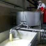 Recuperan procesos productivos en combinado lácteo de Morón 