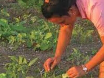 Impulsan federadas creación de patios familiares