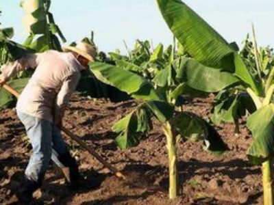 Acogen retos por el nuevo año