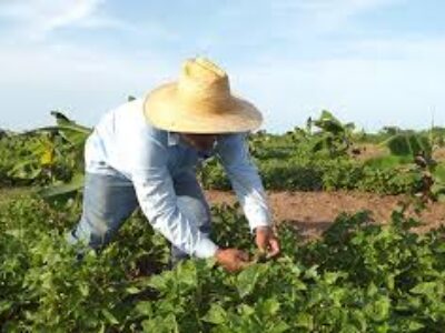 Compromiso con el incremento de entregas