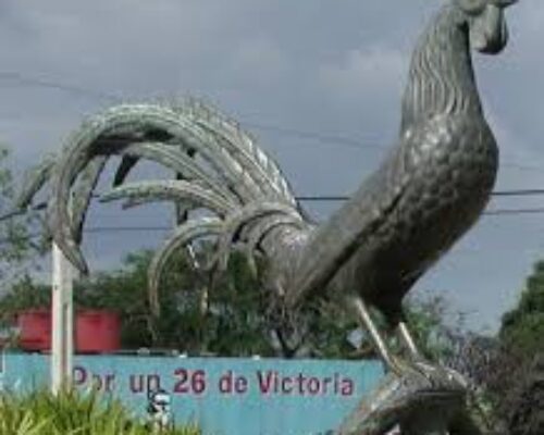 El 26 al cantío de un gallo