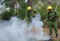 Despliegan acciones para evitar incendios forestales