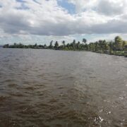 Laguna de la Leche y Embarcadero de Morón