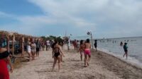 Disfrutan en playa Félix el verano siempre joven