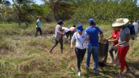 Impulsan la restauración y conservación de ecosistemas costeros