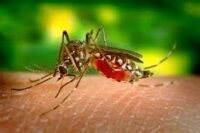 Priorizan control de situación epidemiológica