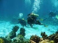 Resaltan las actividades náuticas en Jardines del Rey
