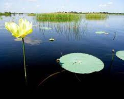 Por la protección de los recursos naturales