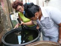 Evitar la proliferación del Aedes