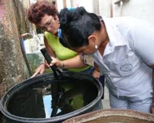 Evitar la proliferación del Aedes