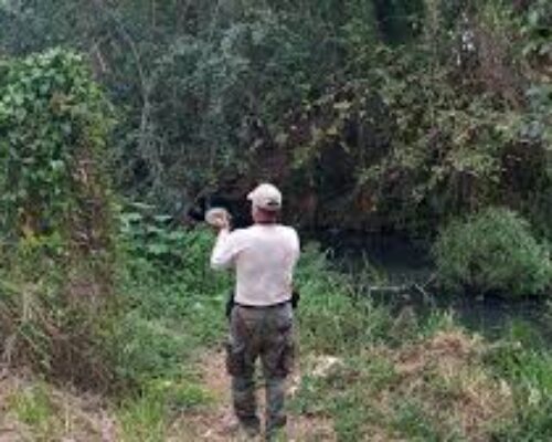 Garantizan monitoreo y conservación de la avifauna
