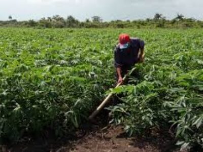 Comprometida la ciencia con la soberanía alimentaria