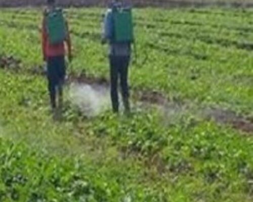 Destacan valia de proyecto científico