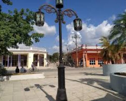 Abogan por ampliar la cultura ambiental integral