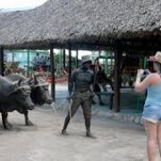 Una visita al Museo del Azúcar
