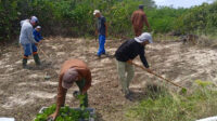 Saldos positivos del proyecto de rehabilitación de dunas