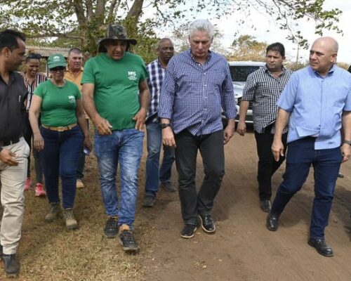 Visita Díaz-Canel objetivos socioeconómicos avileños