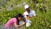 Impulsan turismo sostenible para conservar Jardines del Rey