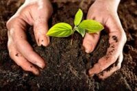 Movimiento de Campesino a campesino por impulsar técnicas agroecológicas